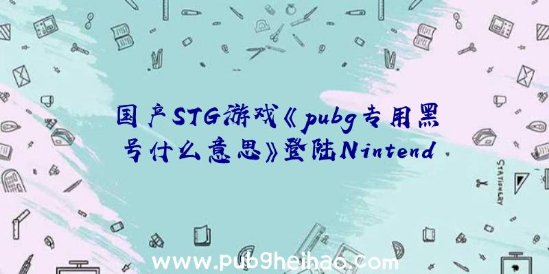 国产STG游戏《pubg专用黑号什么意思》登陆Nintendo